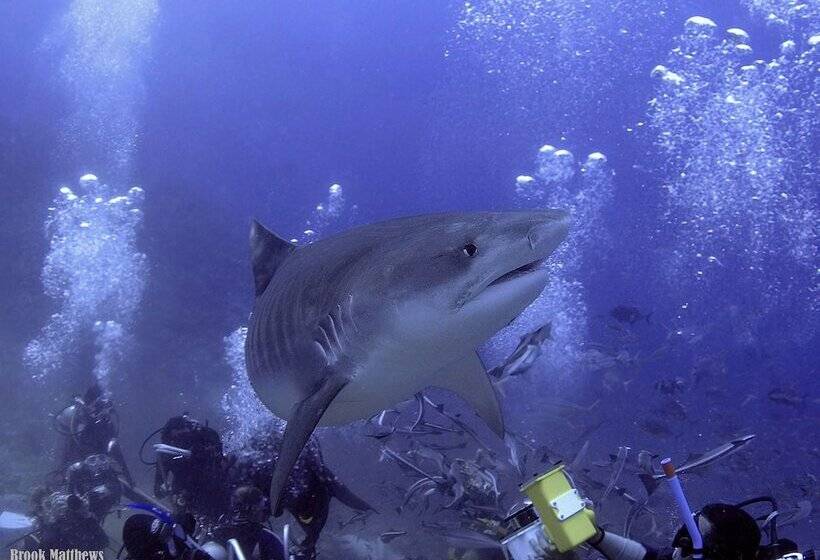 The Pearl South Pacific Resort, Spa & Golf Course