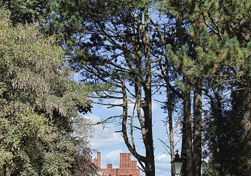 فندق Abbey House