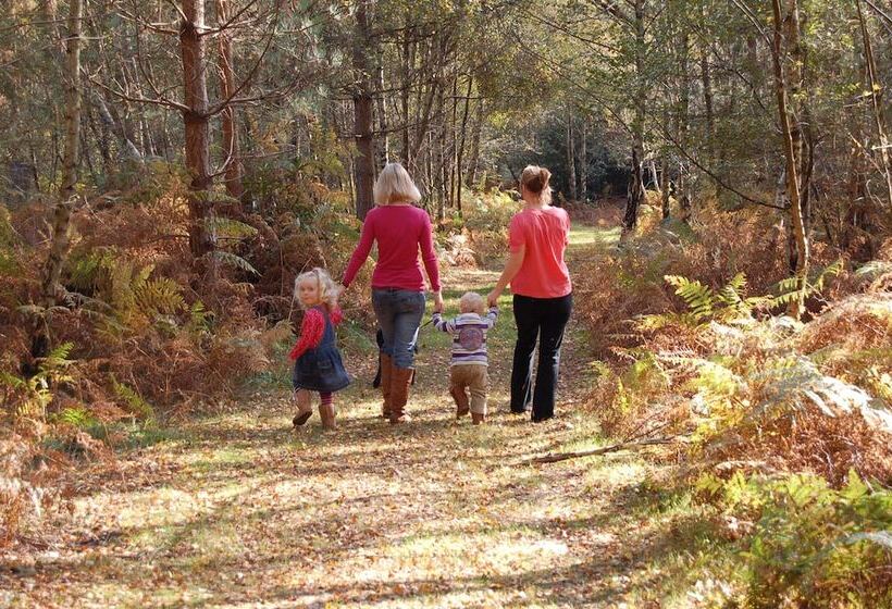 ホテル Ashdown Park