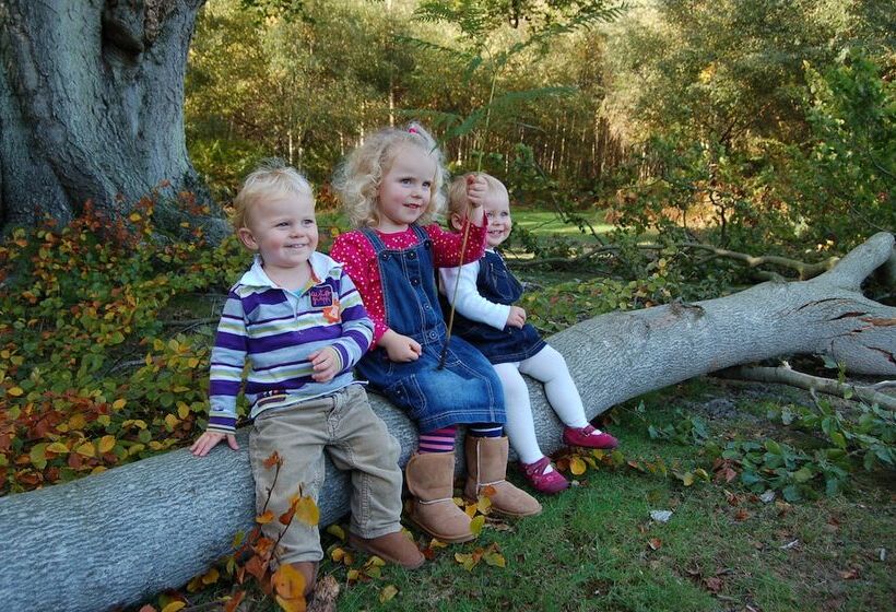 ホテル Ashdown Park