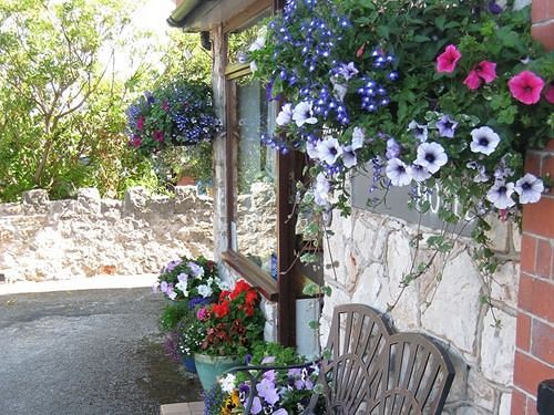 فندق The Ashmount