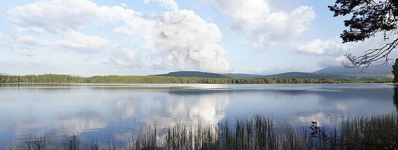 Отель Boat Country Inn And Restaurant