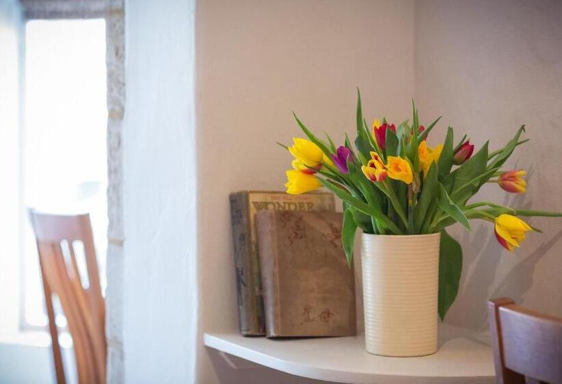 فندق Chester House