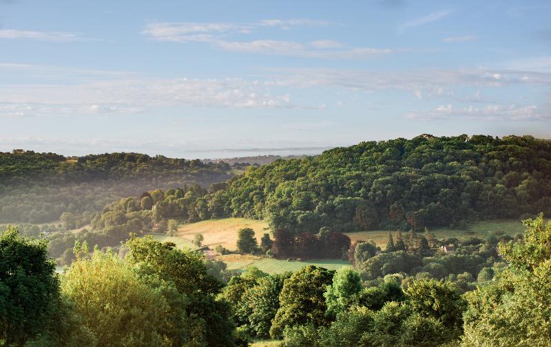 ホテル Combe Grove