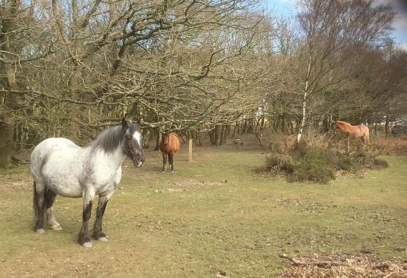 فندق Combe House