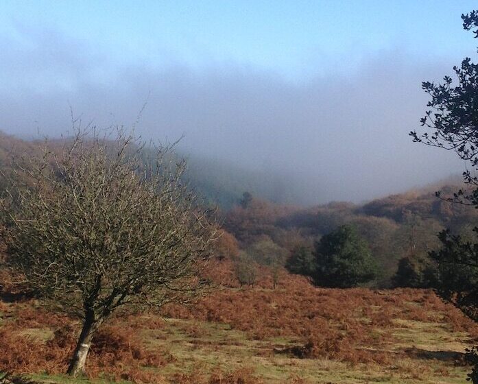 فندق Combe House