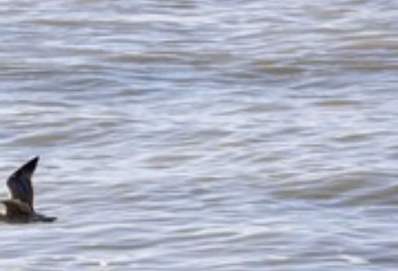 Отель The Relais Cooden Beach