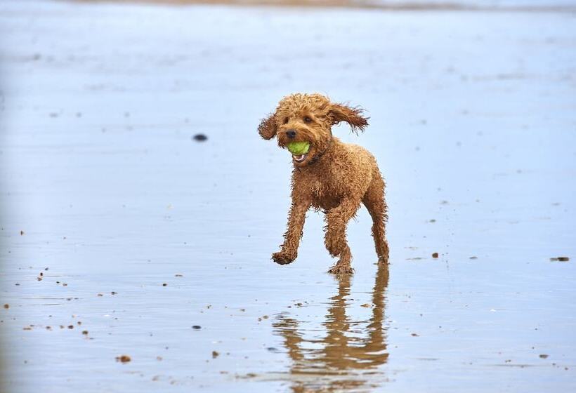 Отель The Relais Cooden Beach