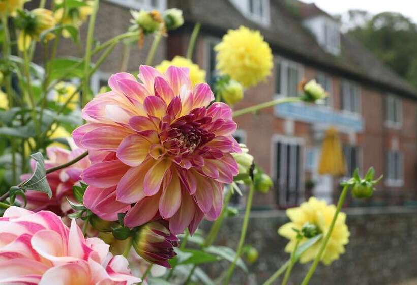 ホテル The Alfriston