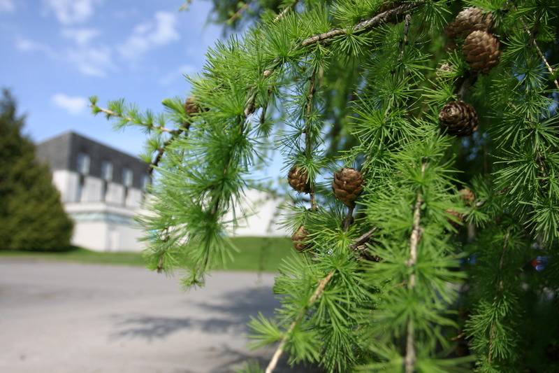 ホテル Eight Acres