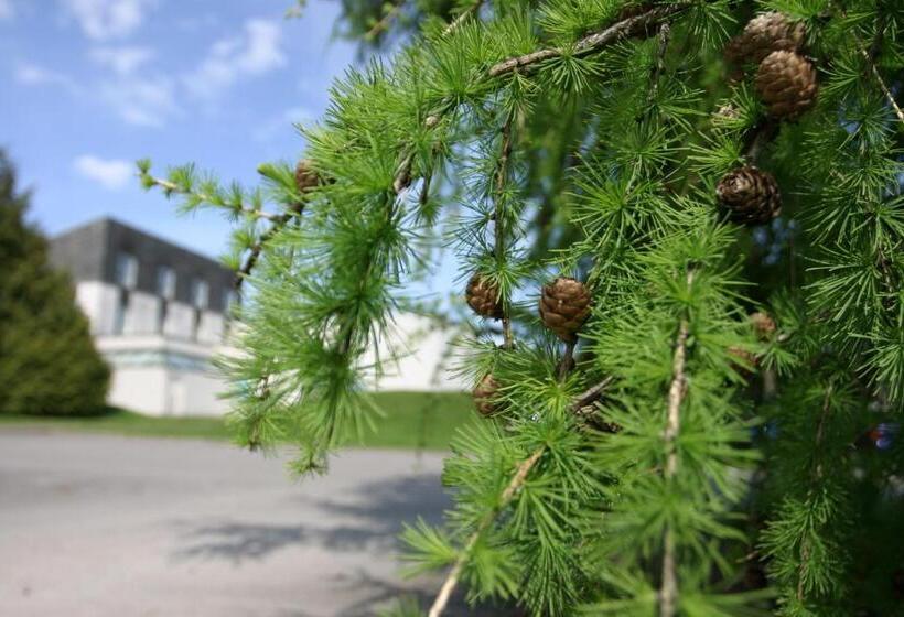 ホテル Eight Acres