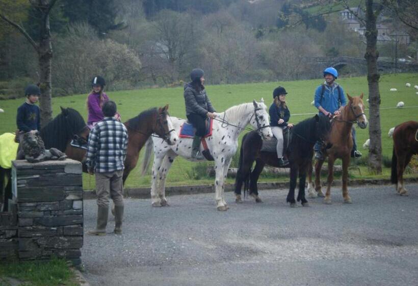 酒店 Elen S Castle