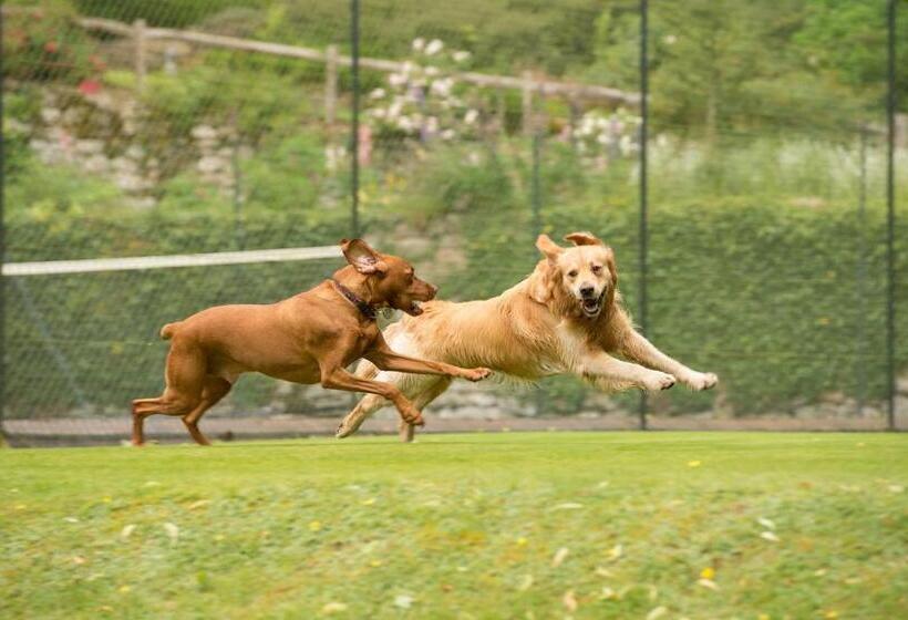 فندق Gidleigh Park  A Relais & Chateaux