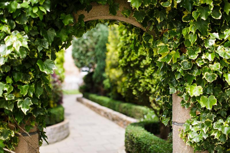 Отель Greenhills Country House