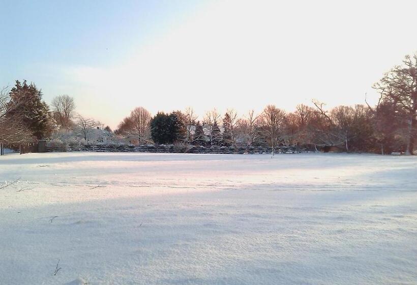 ホテル Grovefield House