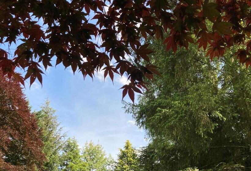 فندق Heathpark House