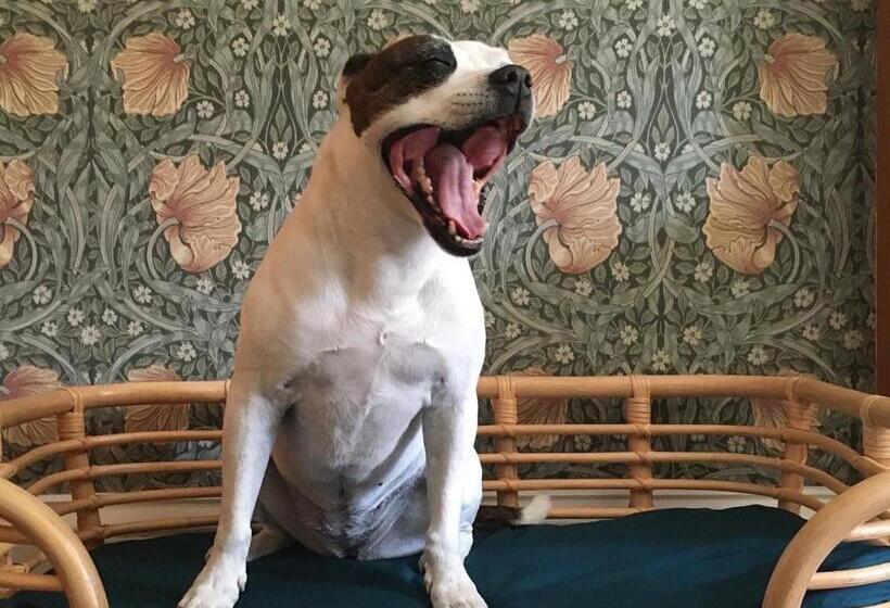 فندق Heathpark House