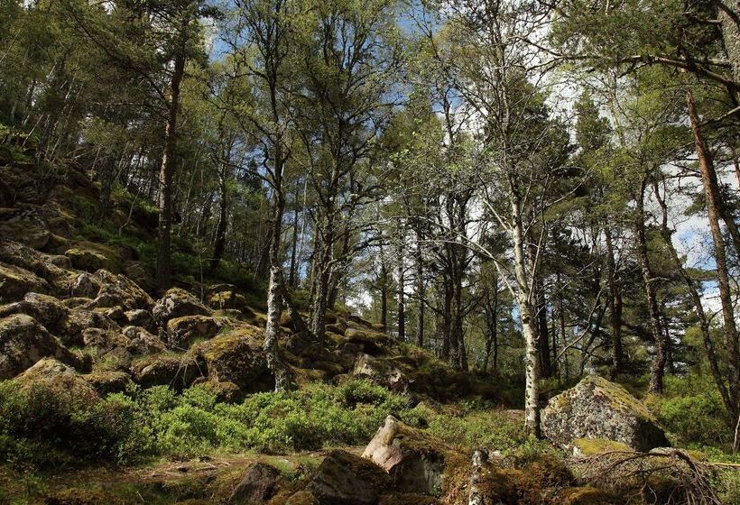 فندق Hilton Grand Vacations Club Craigendarroch Suites Scotland