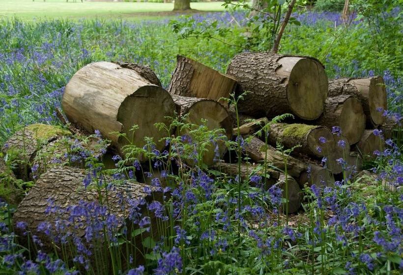 호텔 Hogarths Stone Manor