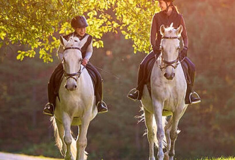 هتل Langstone Cliff