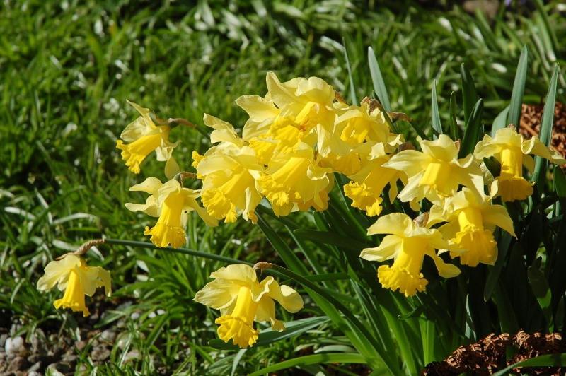 호텔 Lubnaig Guest House