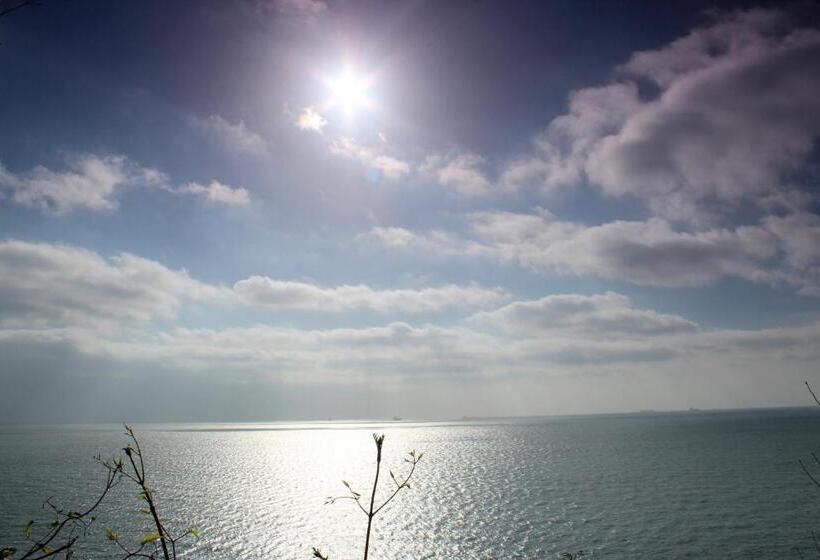 호텔 Luccombe Hall