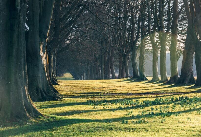 Отель Lucknam Park