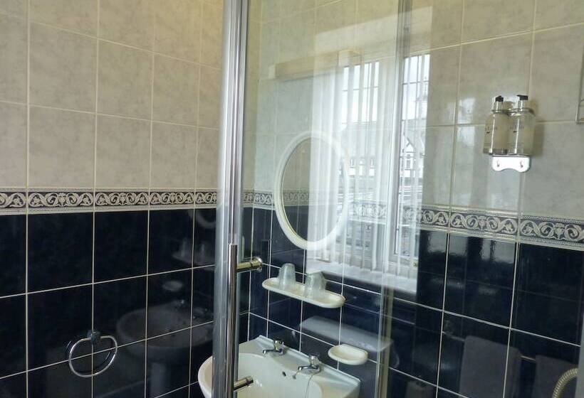 فندق Maes Manor Country