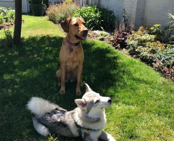 酒店 Marsham Court