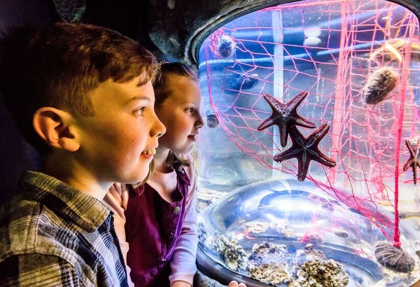 酒店 Mercure Brighton Seafront