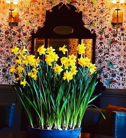 فندق Moffat House