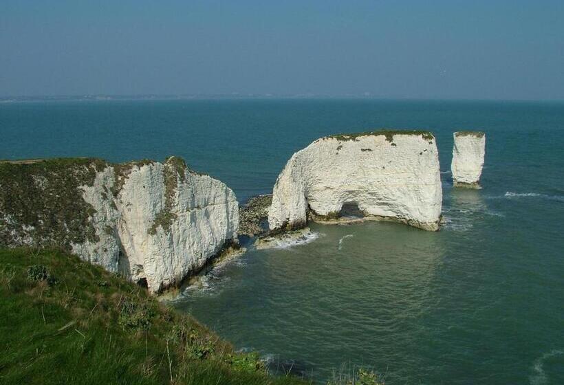 فندق Mortons Manor