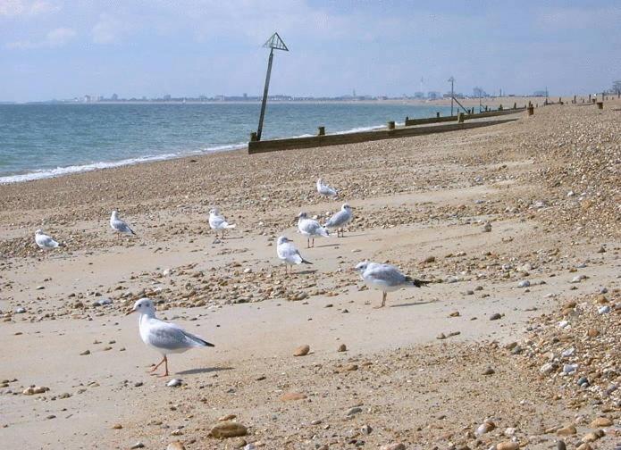 酒店 Newtown House