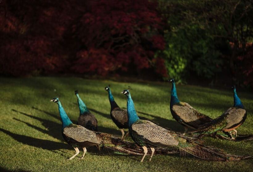 בית מלון כפרי Prestonfield House