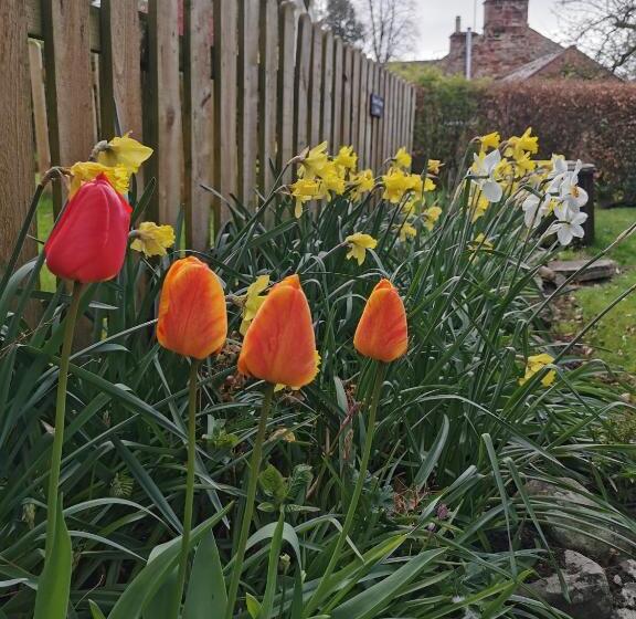 酒店 Royal Oak Appleby