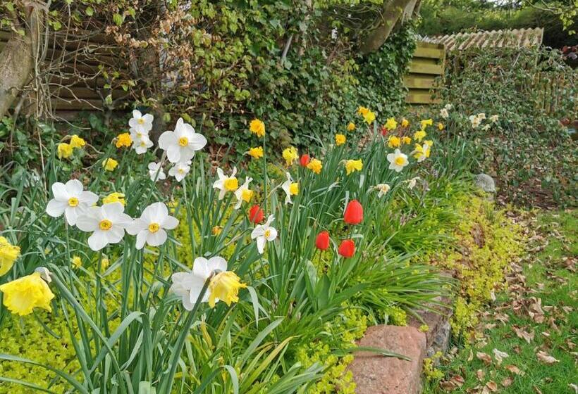 酒店 Royal Oak Appleby