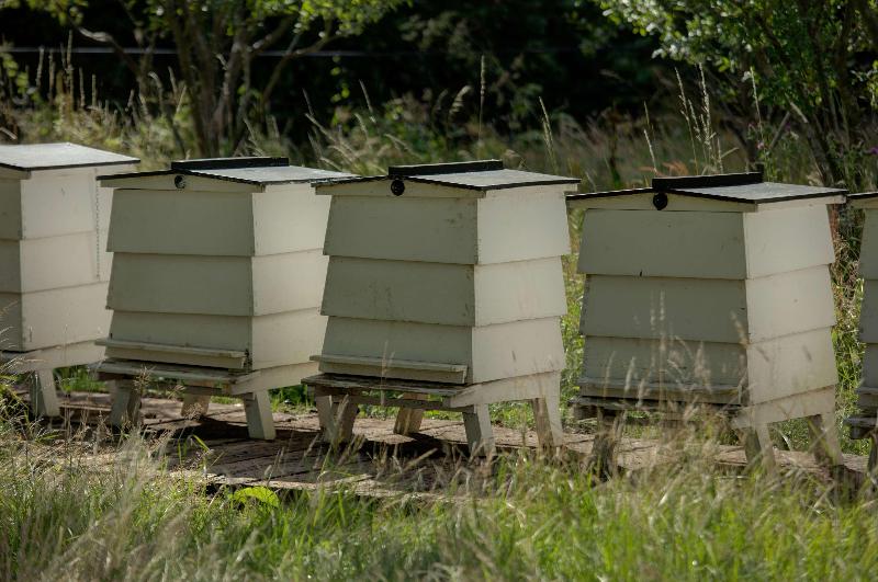 Отель The Rudloe Near Bath Marco Pierre White