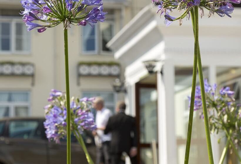 Отель Somerville