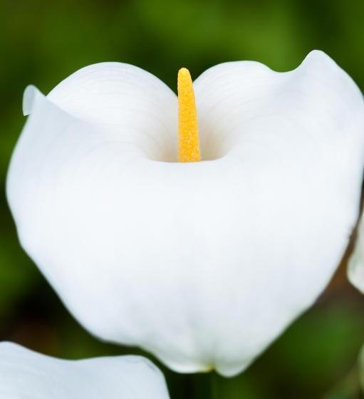 فندق Summer Lodge Country House