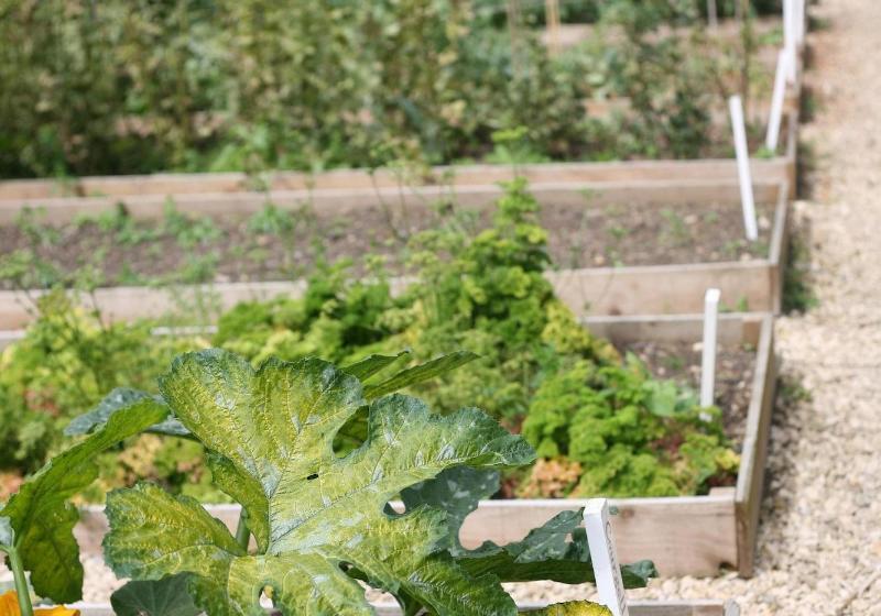 בית מלון כפרי The Bath Priory  A Relais & Chateaux