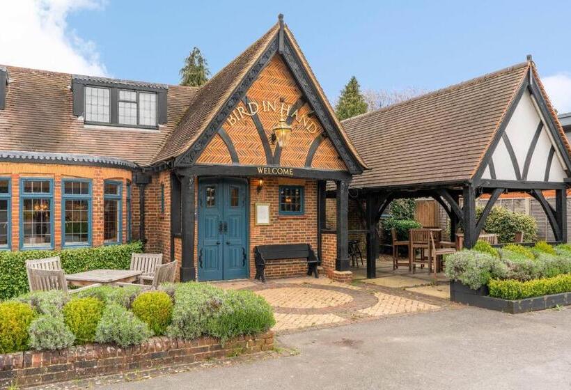 בית מלון כפרי The Bird In Hand