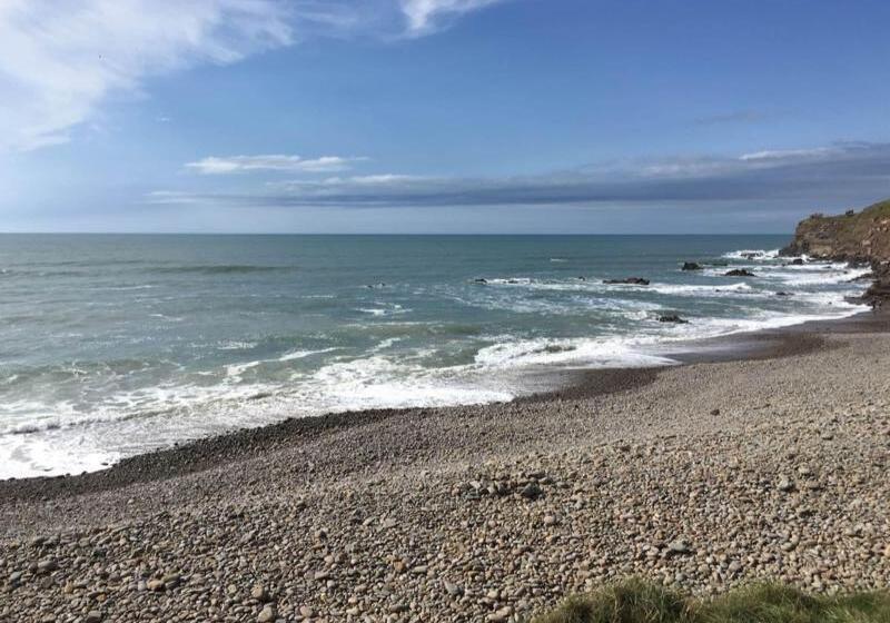 فندق The Bude Haven