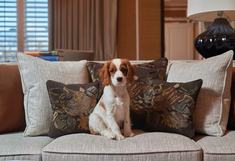 The Cadogan, A Belmond Hotel, London