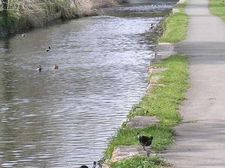 ホテル The Casterbridge