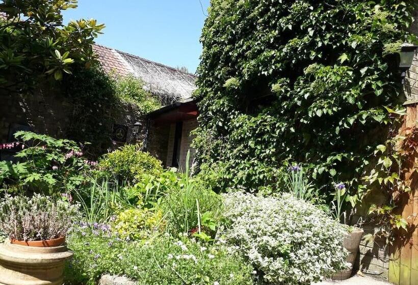 בית מלון כפרי The Casterbridge