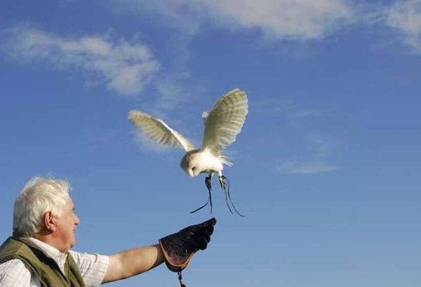 酒店 The Lygon Arms An Iconic Luxury