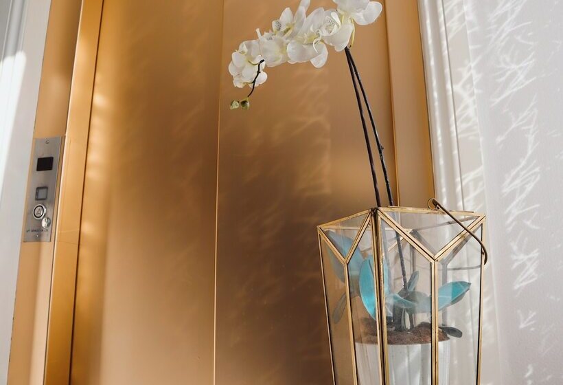 هتل The Mount Rooms