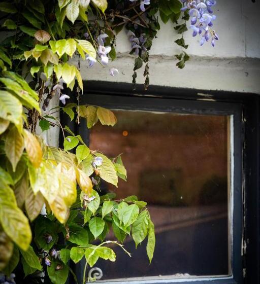 호텔 The Old Ferry Inn