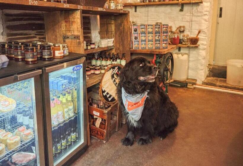 호텔 The Old Ferry Inn