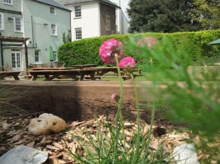 호텔 The White Cliffs